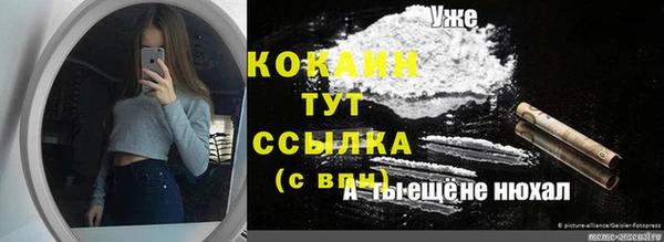 тгк Абаза