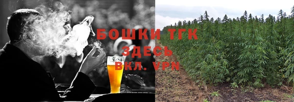 тгк Абаза