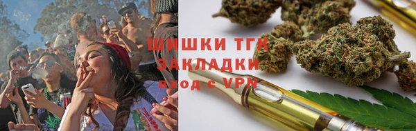 тгк Абаза
